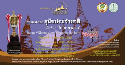 การประกวดสุนัขประจำชาติ สุนัขพันธุ์ไทยหลังอาน